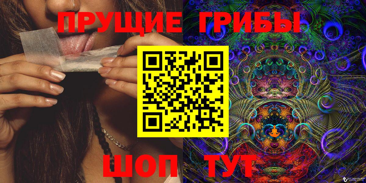 Гусиноозёрск  Псилоцибиновые грибы MAGIC MUSHROOMS  Галлюциногенные грибы ЛСД  Вход с VPN 