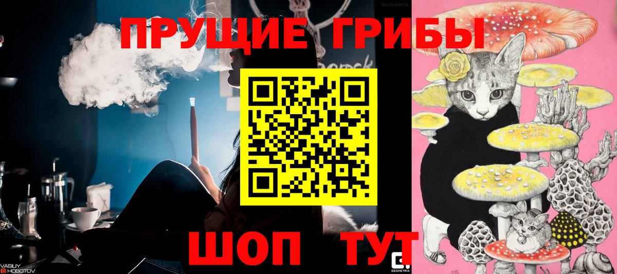 Псилоцибиновые грибы MAGIC MUSHROOMS Гусиноозёрск